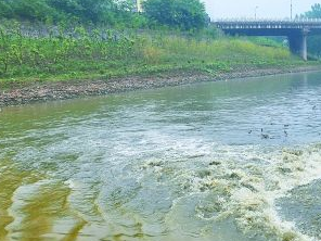 保定定兴污水清运多少钱